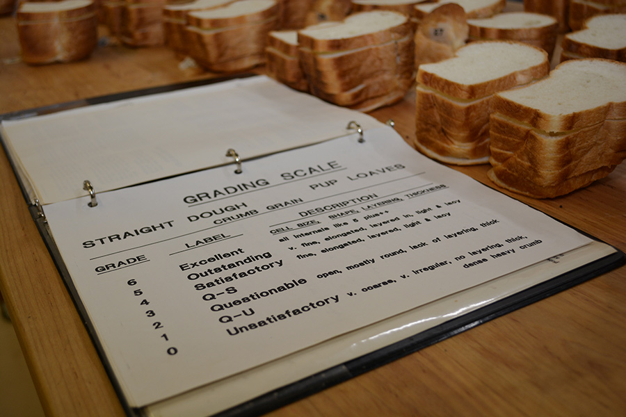 wheat-quality-900x600.jpg Bread on wooden table